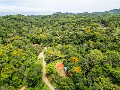 an aerial view of a forest with a road at New, Private River, Wifi, AC, King Bed, Jungle Shower in Ojochal