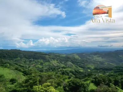 a view of a valley in the mountains with the alica vista logo at Finca Alta Vista Monteverde in Monteverde Costa Rica