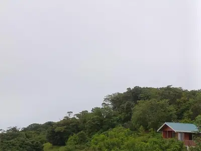 a house on a hill with trees in the background at Finca Alta Vista Monteverde in Monteverde Costa Rica