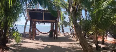 a hut on the beach with palm trees and the ocean at Paradise in Puntarenas