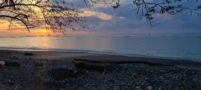 a sunset on the beach with a tree branch on the beach at Paradise in Puntarenas