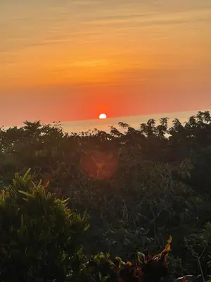 a sunset over trees with the sun in the sky at Driftwood ocean view in Playa Ostional