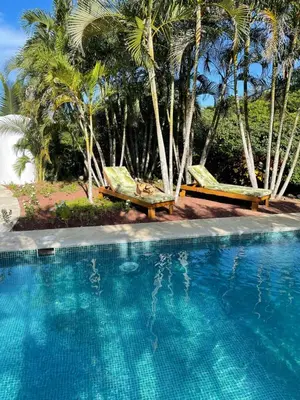 a swimming pool with two chairs and palm trees at Driftwood ocean view in Playa Ostional