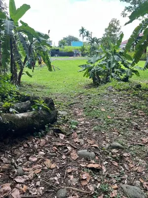 a field of grass with trees and a dirt road at Casa Grande Pura Vida in Fortuna