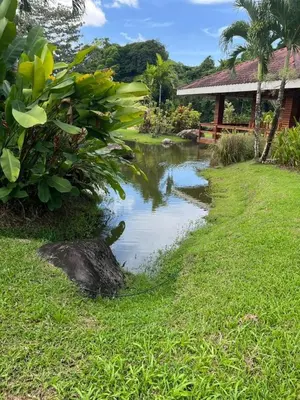a pond in the yard of a house at Casa Grande Pura Vida in Fortuna