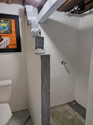 a bathroom with a toilet and a painting on the wall at Cabins river blue in Rio Celeste