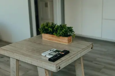 a table with two remote controls and a potted plant at Arenal View Villas in Fortuna
