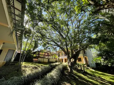 a tree in a yard next to a building at La Dehesa B&B en San Joaquín de Flores in Heredia