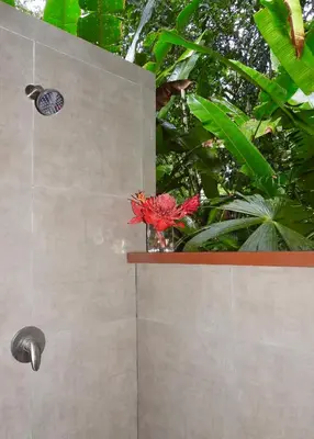 a butterfly on a wall with a vase of flowers at Colibri Jungle Casita in Dominical