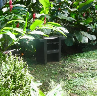 a small box sitting in the middle of a garden at Colibri Jungle Casita in Dominical
