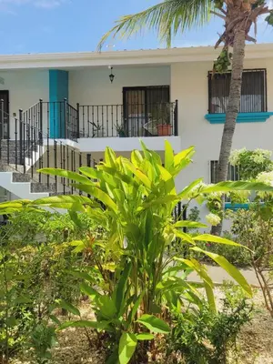 a house with a palm tree in front of it at Garza Real in Coco