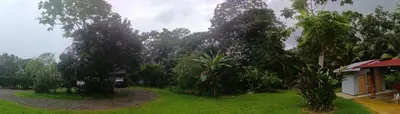 a group of trees and houses in a field at Quinta Rincon Silvestre cerca de Volcán in Jabillos