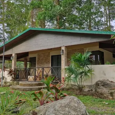 House in the Woods
