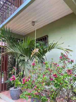 a group of plants and flowers in front of a building at Apartment 5 -10 minutes away BY CAR from Manuel Antonio beach! in Quepos