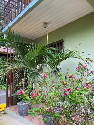 a group of plants and flowers in front of a house at Apartment 5 -10 minutes away BY CAR from Manuel Antonio beach! in Quepos