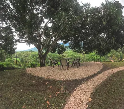two benches sitting in a park under a tree at Lapas House in Esperanza