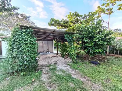 a building covered in ivy next to a yard at Casa Mares in Lepanto