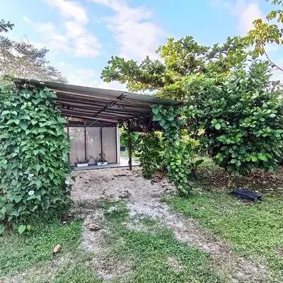 Casa Mares
