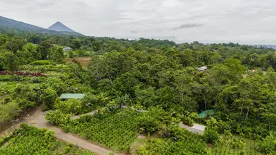 an aerial view of a garden with a pyramid in the background at Secret Bungalows Lechu in Fortuna