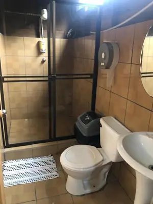 a bathroom with a toilet and a shower and a sink at Cabaña El Bosque in Turrialba
