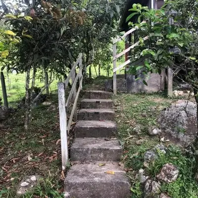 Cabaña El Bosque