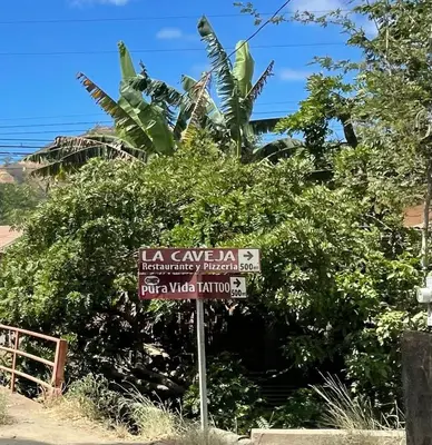 a street sign in front of a bush at Marina Loft in Coco
