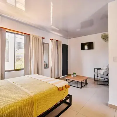 Modern Caribbean Studio - Roosevelt