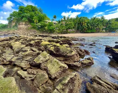 a rocky shore with a beach and trees and the ocean at Palacio Tropical in Puntarenas