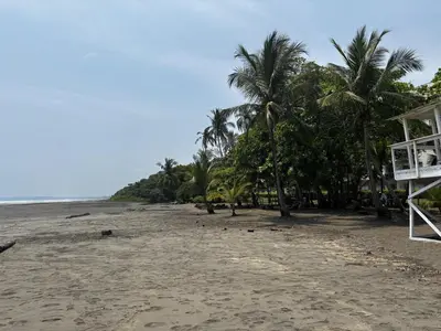 a beach with palm trees and a building on it at Beachfront Getaway, AC, Pools and Sunset Views in Bejuco
