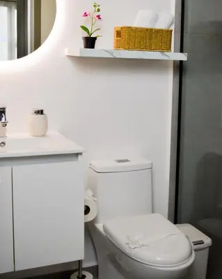 a bathroom with a toilet and a sink and a mirror at Gaia Retreat - Núcleo Sabana in San José