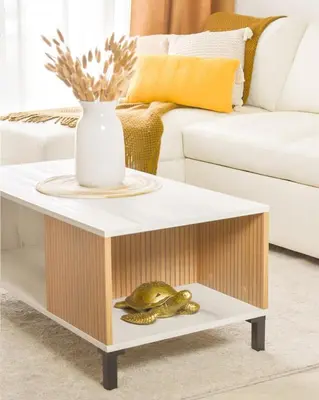 a coffee table with a frog on a shelf at Gaia Retreat - Núcleo Sabana in San José