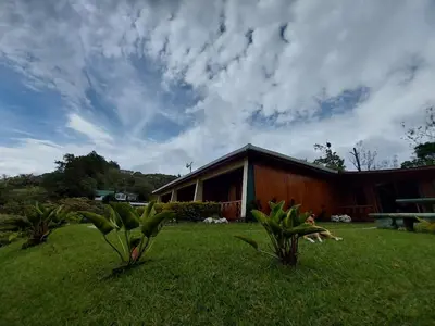 two plants in the grass in front of a building at Belcruz family lodge in Monteverde Costa Rica