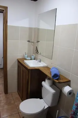 a bathroom with a toilet and a sink and a mirror at Brisas del Caribe 3 in Tapantí