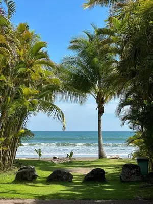 a beach with two palm trees and the ocean at Walk to Private Beach Luxury amidst Nature in Puntarenas