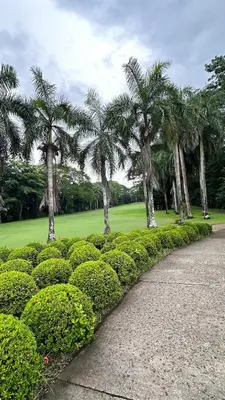 a park with palm trees and bushes and a sidewalk at Walk to Private Beach Luxury amidst Nature in Puntarenas