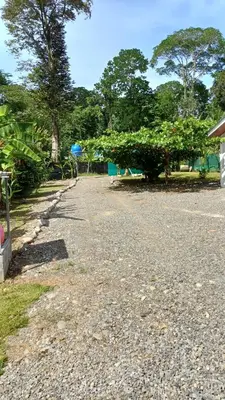 a gravel road with trees in the background at Casitas katia in Tapantí