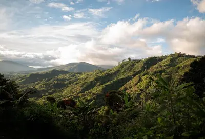 a view of auliculiculiculiculiculiculiculiculiculiculiculic at Valmonte Coffee Farm in Santa María