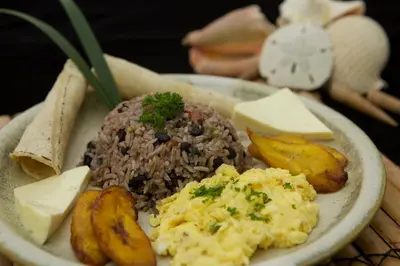 a plate of food with rice and potatoes and cheese at Ylang Ylang Beach Resort in Montezuma