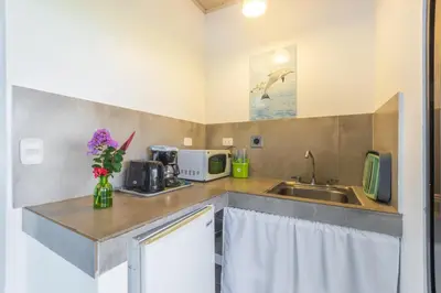a kitchen with a sink and a counter top at Hotel Villas de la Selva in Manuel Antonio