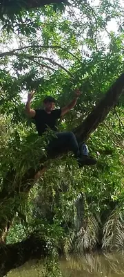 a man is climbing up a tree at Avistamiento Fauna Flora Caribe in Puerto Limón