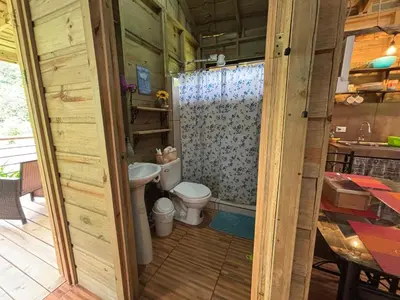a bathroom with a toilet and a shower at Cabaña Jacaranda #2, junto al río, San Isidro, Pérez Zeledón in Roble