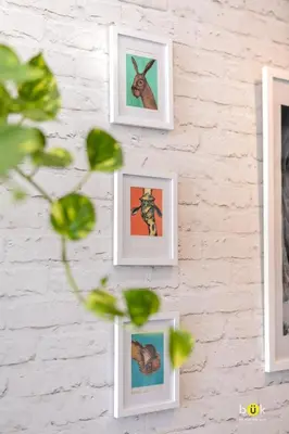 four pictures of animals hanging on a wall at ART AND STYLE Wonderful space for a couple in San José