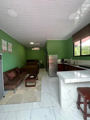 a living room with green walls and a couch and a kitchen at Apartamentos zafiro in Bahia