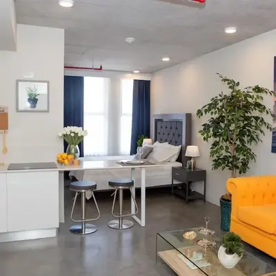 Cozy New Studio Excellent Location