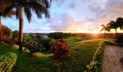a sunset over a field with palm trees and flowers at Casa Dorada 55 Studio in Marbella