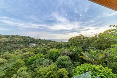 a view of the forest from a house at Casa Vivo in Nosara