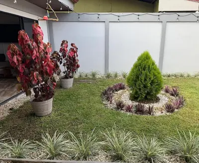 three potted plants and a bush in a yard at Casa Tucán Turrialba in Turrialba
