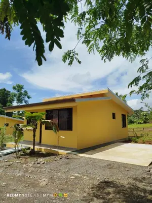 a yellow house with a tree in front of it at Hacienda Paraíso Rio Celeste 1 in Rio Celeste