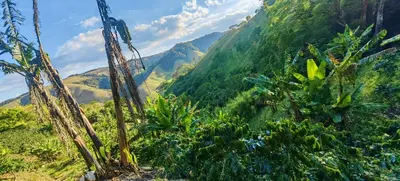 Gallery image of Casita Canto del Bosque Monteverde in Tilarán
