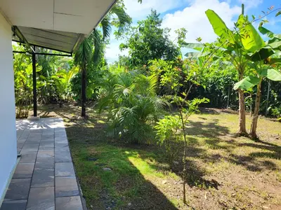 a garden with trees and a walkway at Villa Milagro in Parrita